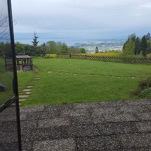 Apartament typu junior